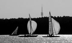 Regatta - Impression mit Wannseeturm