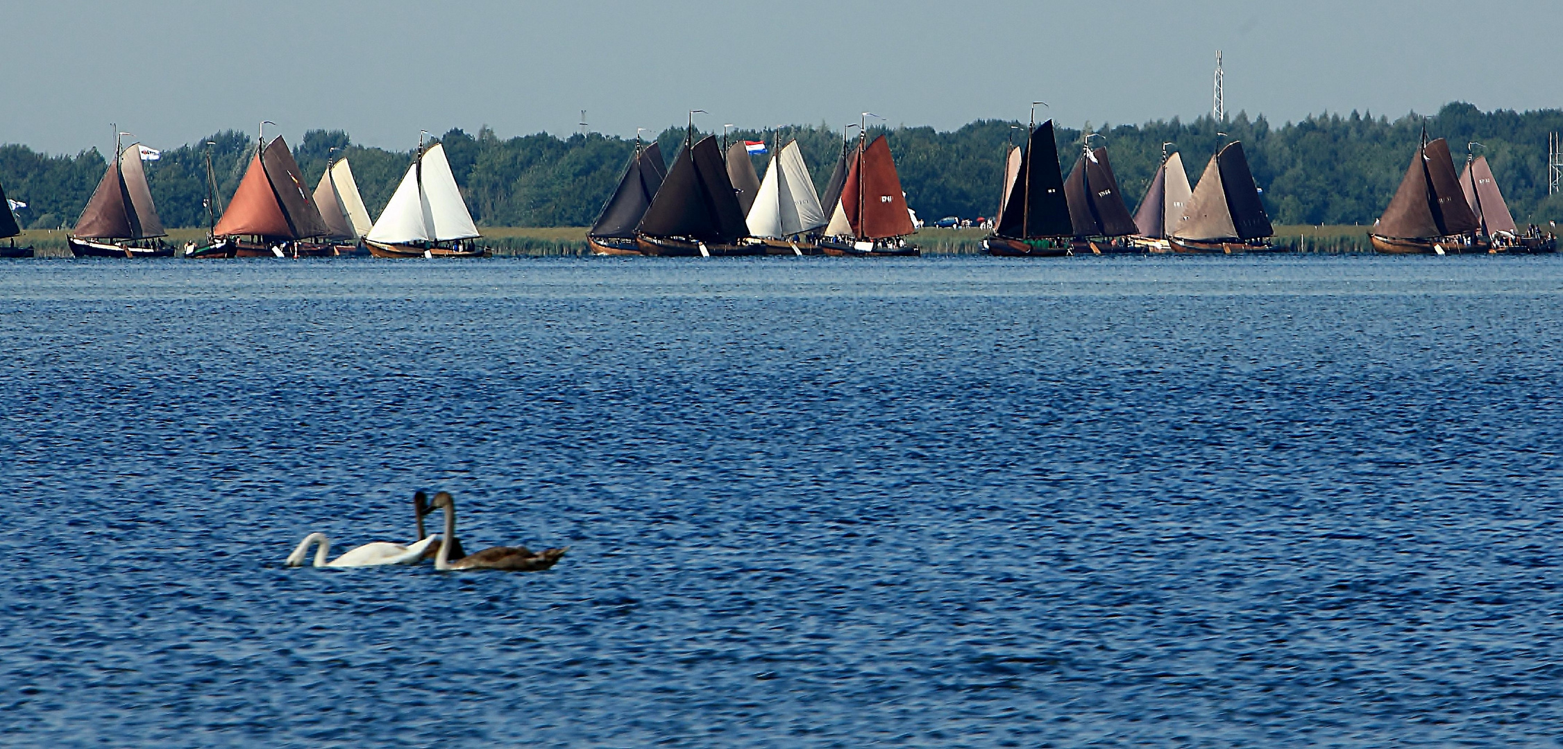 Regatta in Elburg