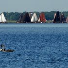 Regatta in Elburg