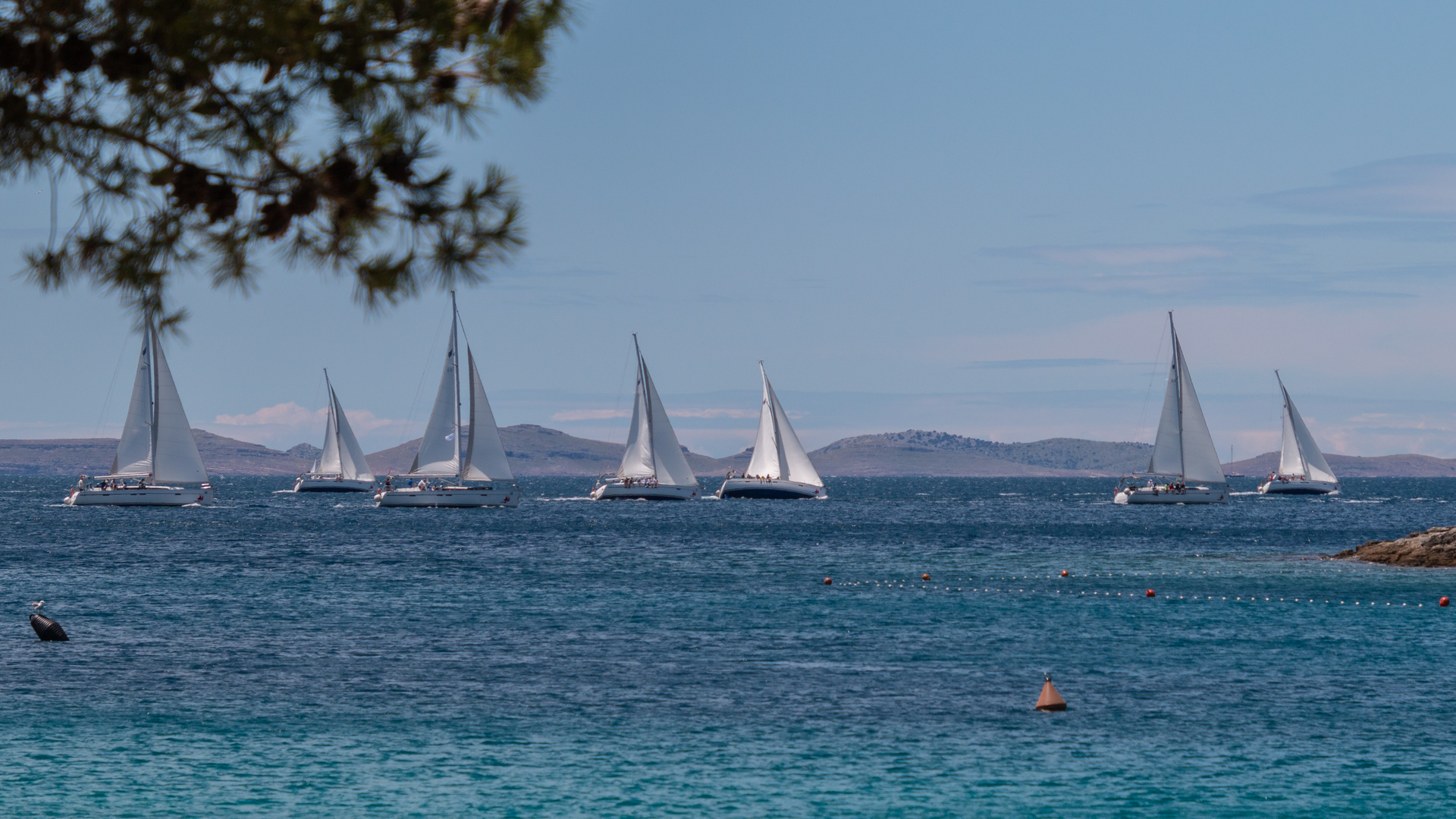 Regatta in Kroatien