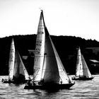 Regatta in sw