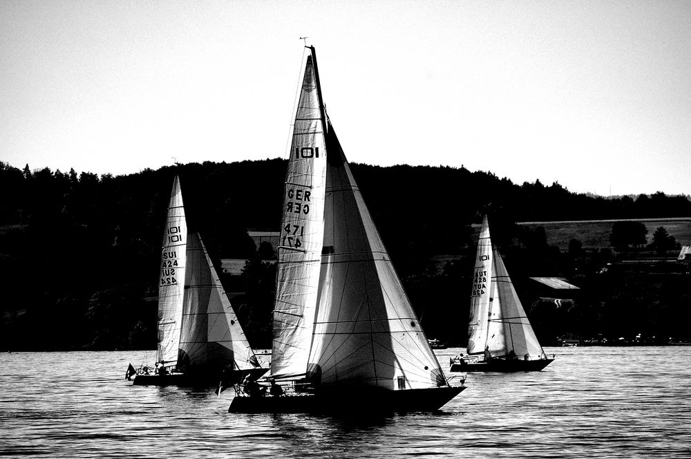 Regatta in sw