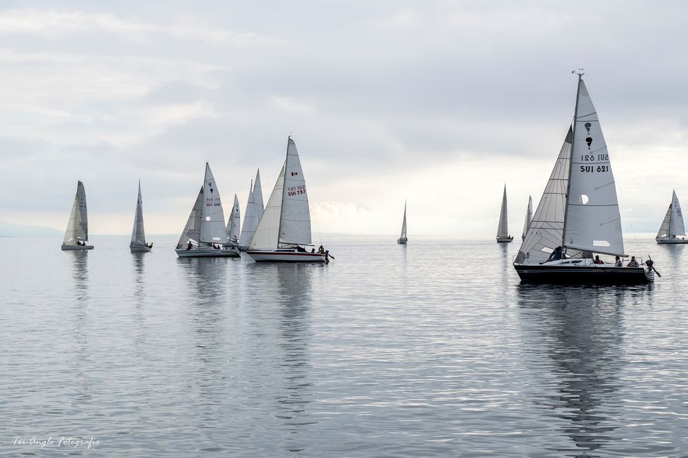 Regatta Lac Leman