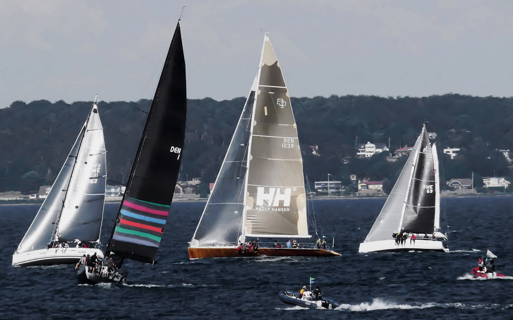 Regatta "Rund um Seeland"