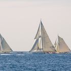 Regatta Vintage-Segler DSC_7600r