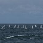 Regatta vor Helgoland