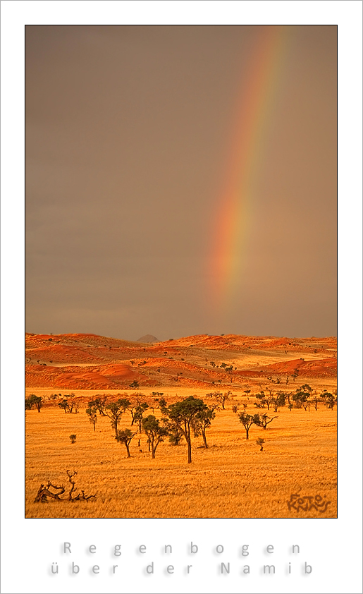 Regebogen über der Namib