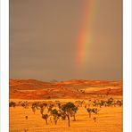 Regebogen über der Namib