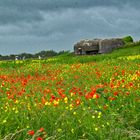 Regelbau M 272 nach Monet