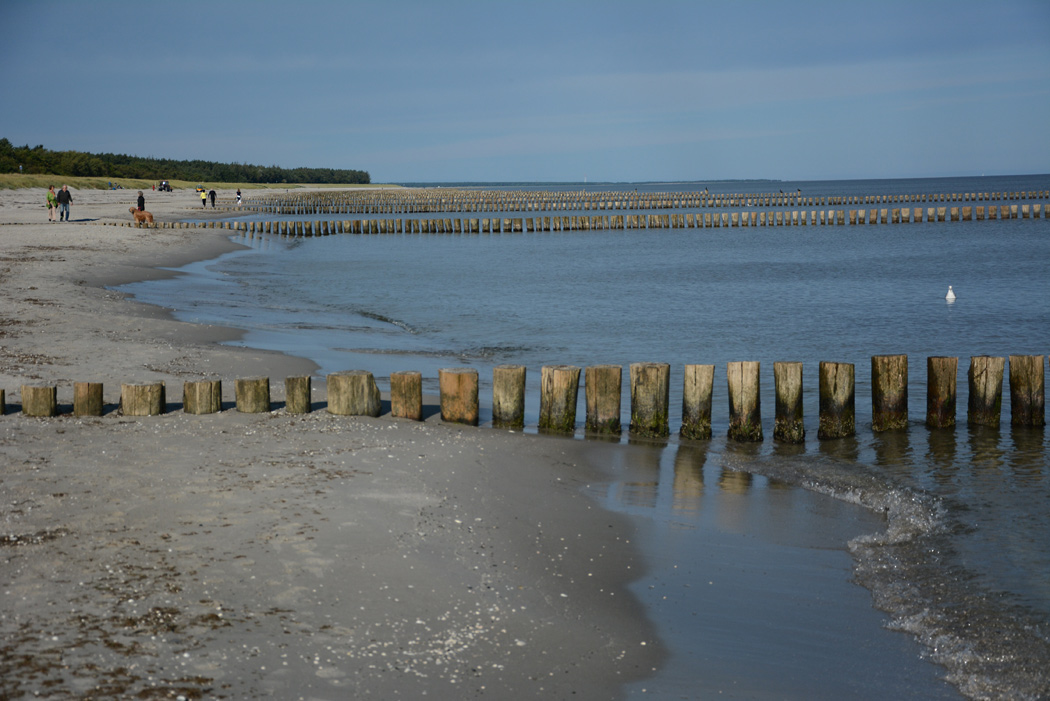 Regelmäßig machen wir Strandspaziergänge von Zingst in Richtung Prerow