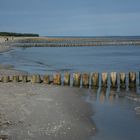 Regelmäßig machen wir Strandspaziergänge von Zingst in Richtung Prerow