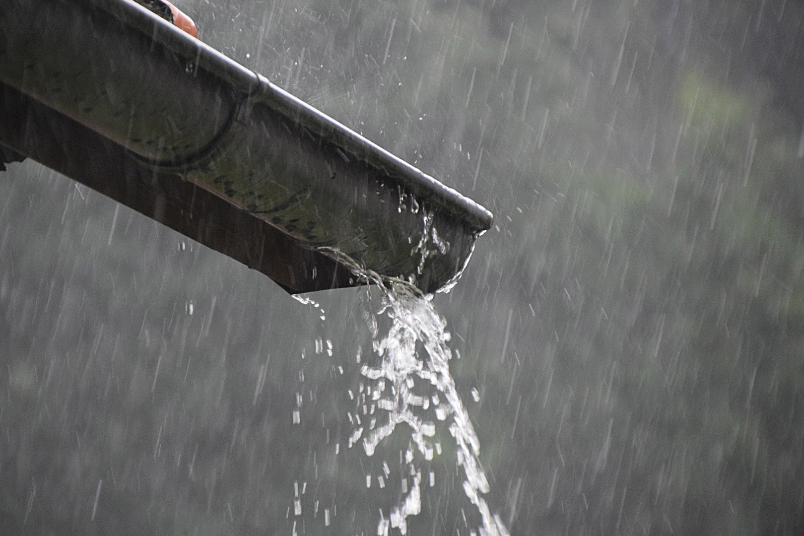  Regen  Foto Bild regen  natur dachrinne Bilder auf 