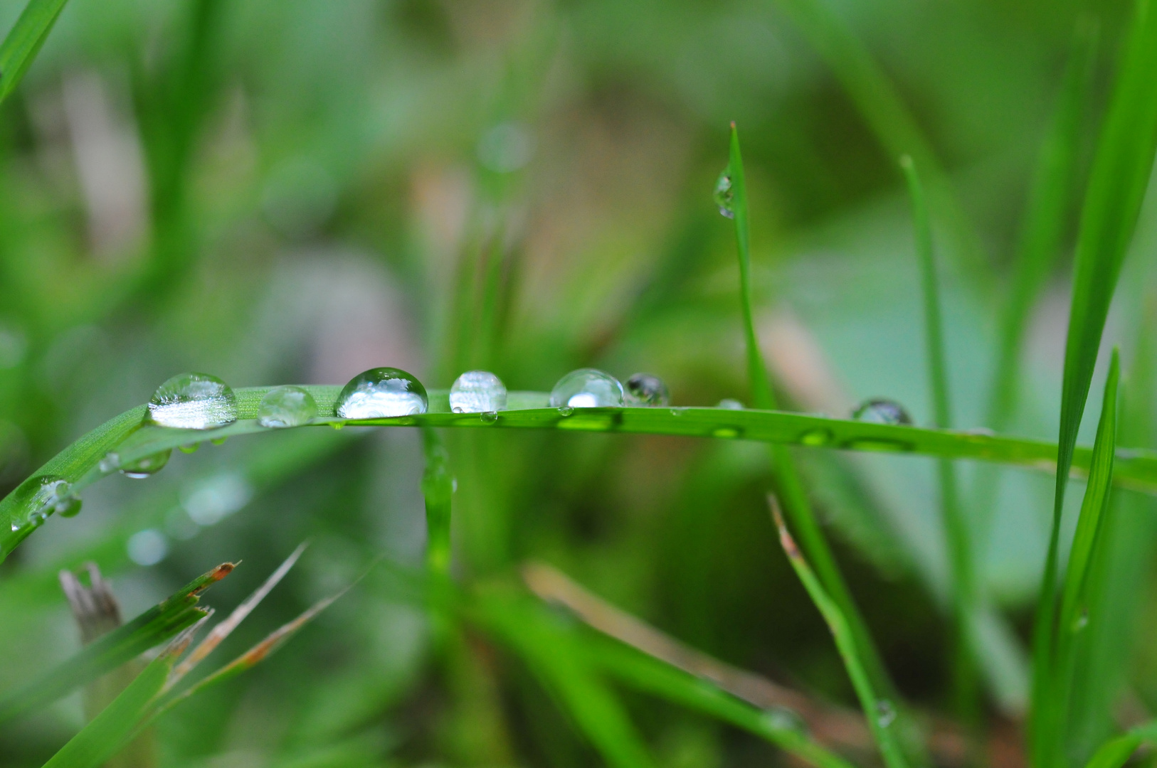 Regen Foto & Bild | wetter, natur Bilder auf fotocommunity