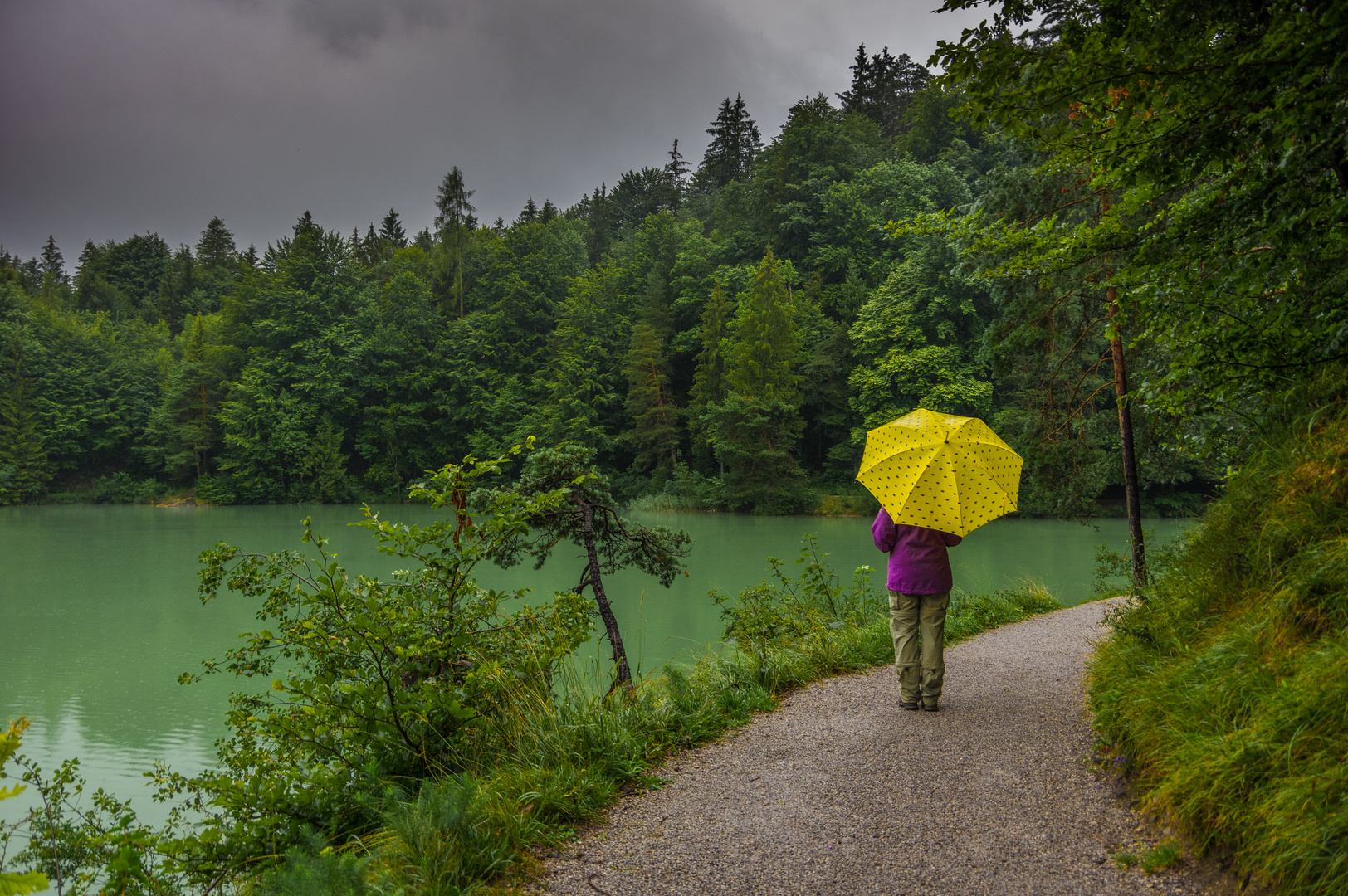  Regen  Foto Bild  landschaft bach fluss see see 