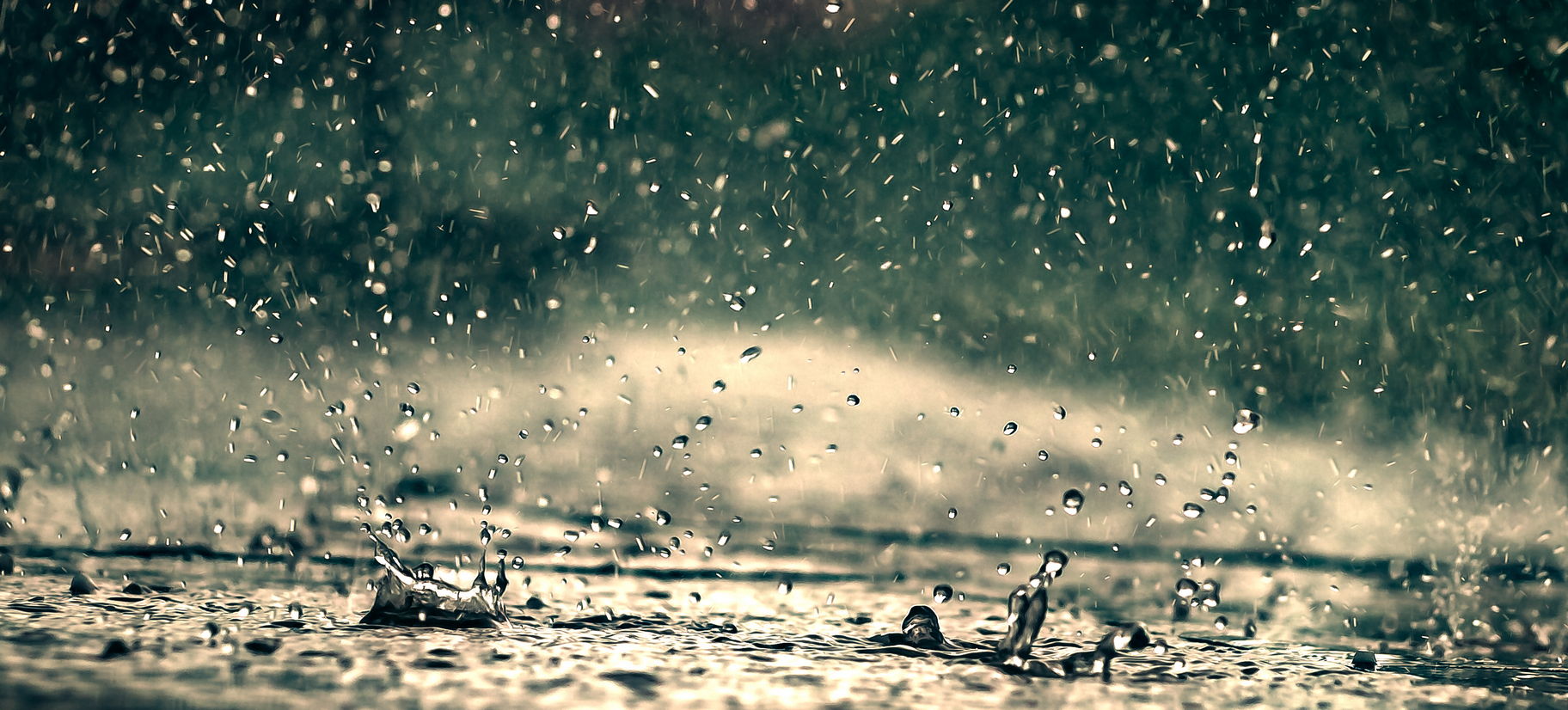 regen... Foto & Bild naturereignisse, die elemente, regen Bilder auf