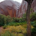 Regen am Ayers Rock