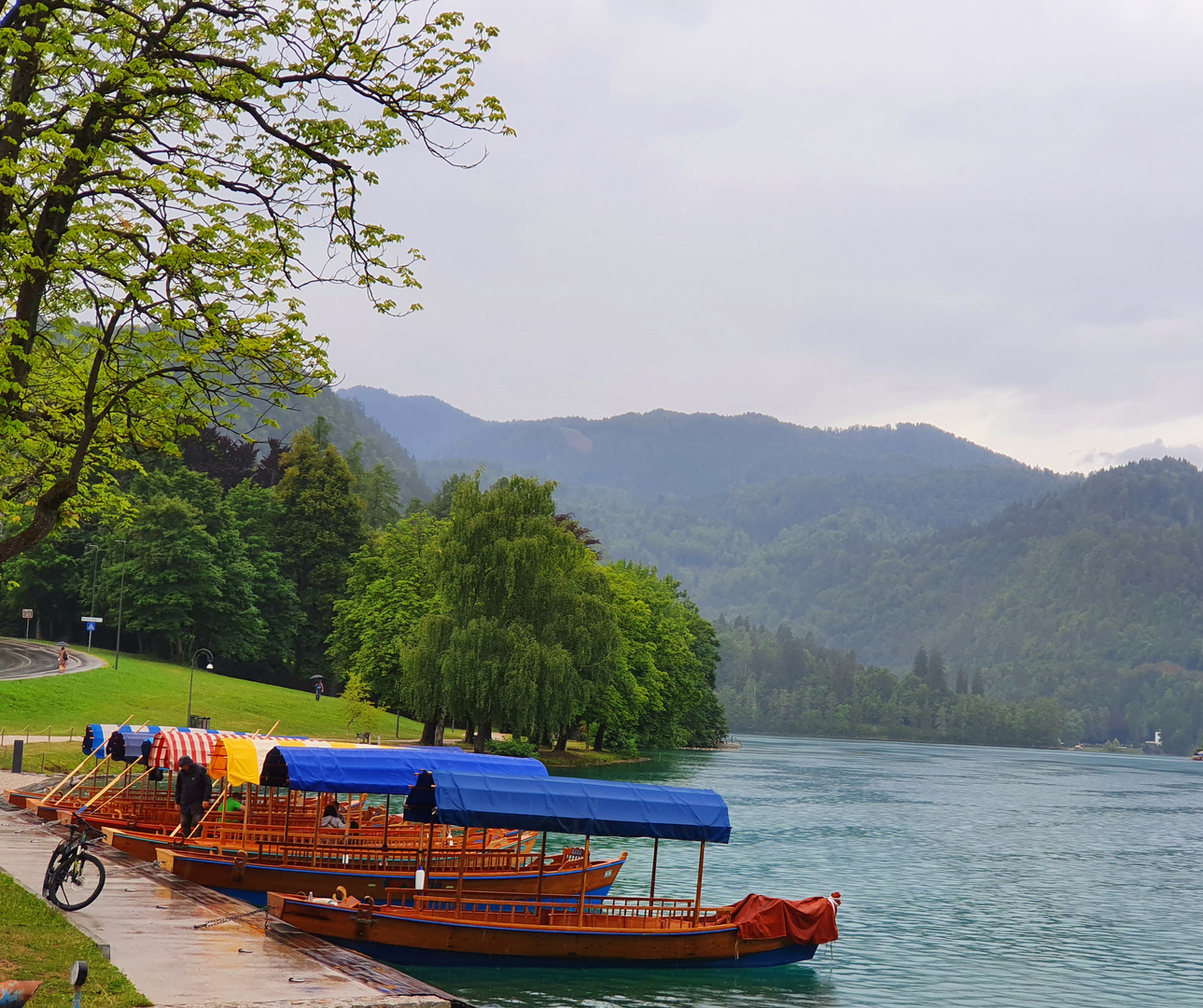 Regen  am See