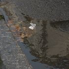 Regen am Straßenrand