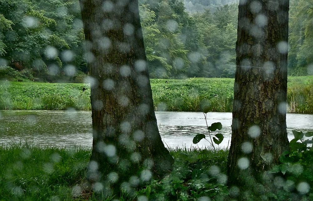 Regen am Teich durchs Autofenster gesehen Foto & Bild regenfotos