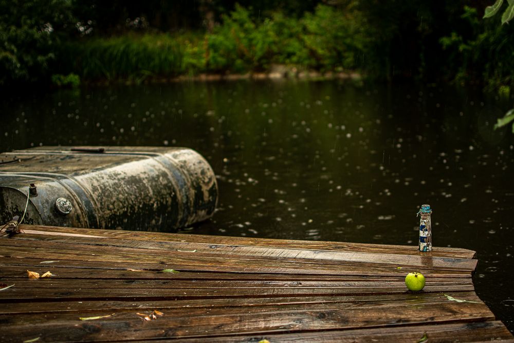 Regen am Teich 