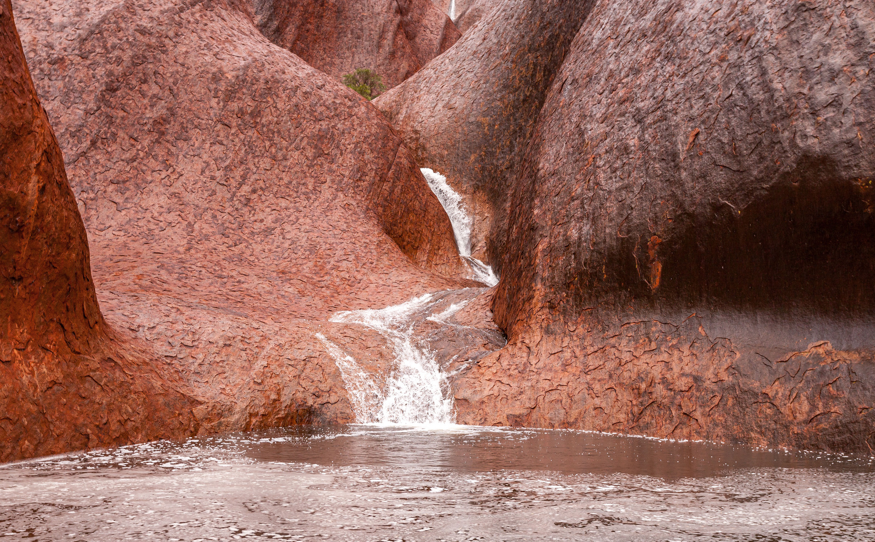 Regen am Uluru - 3