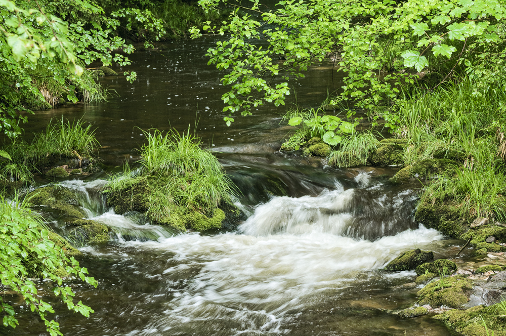 Regen an der Rotmurg