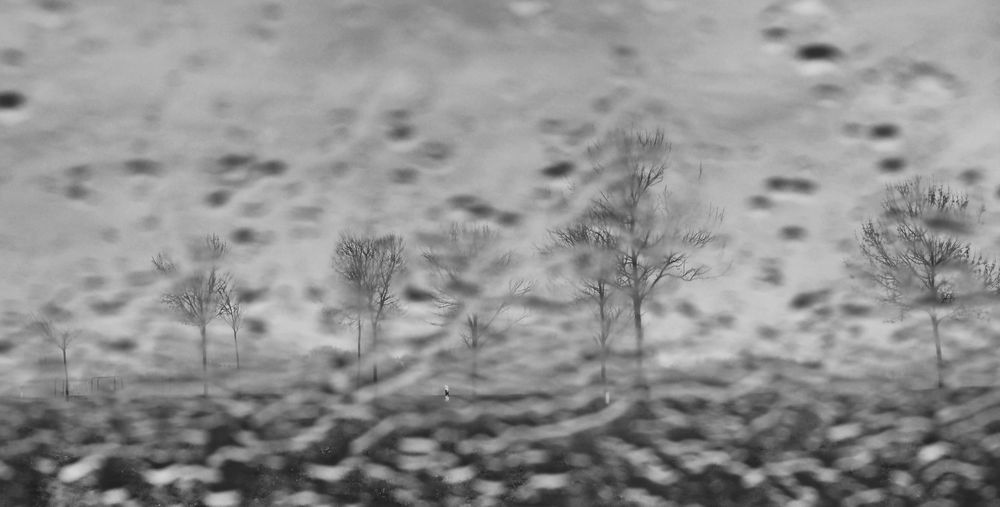 Regen auf der Insel Poel ...