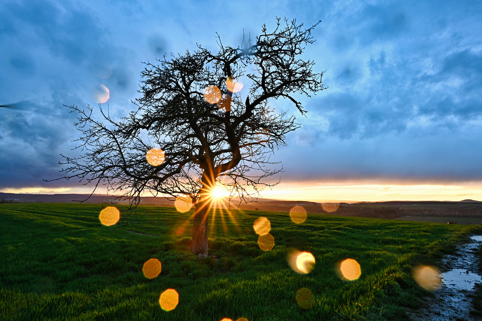 Regen auf der Linse