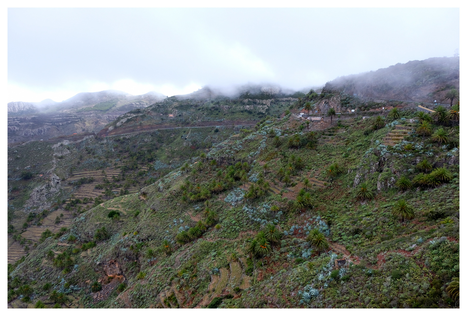 Regen auf La Gomera II