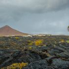 Regen auf Lanzarote