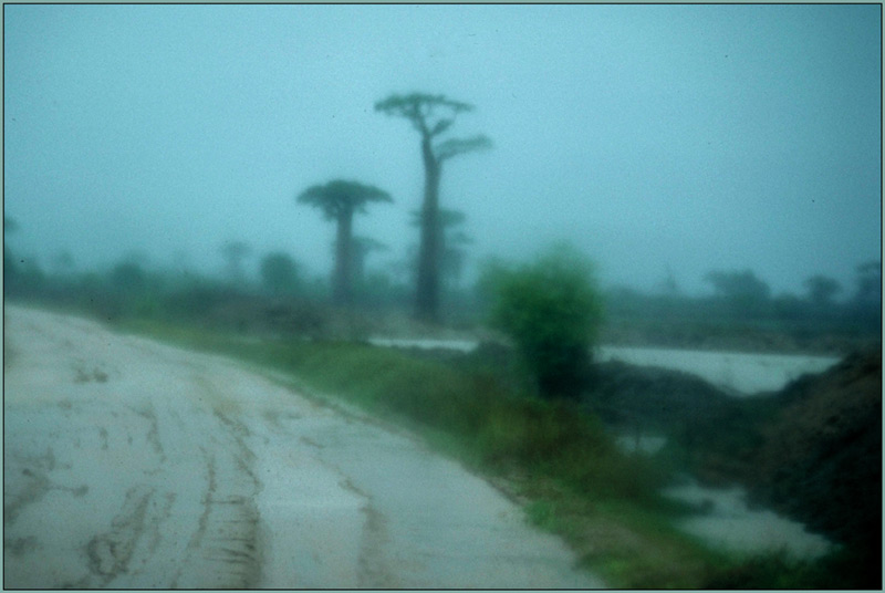 Regen bei der Baobab-Allee