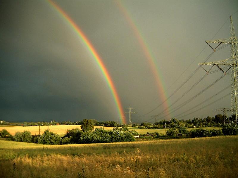 Regen (bogen)