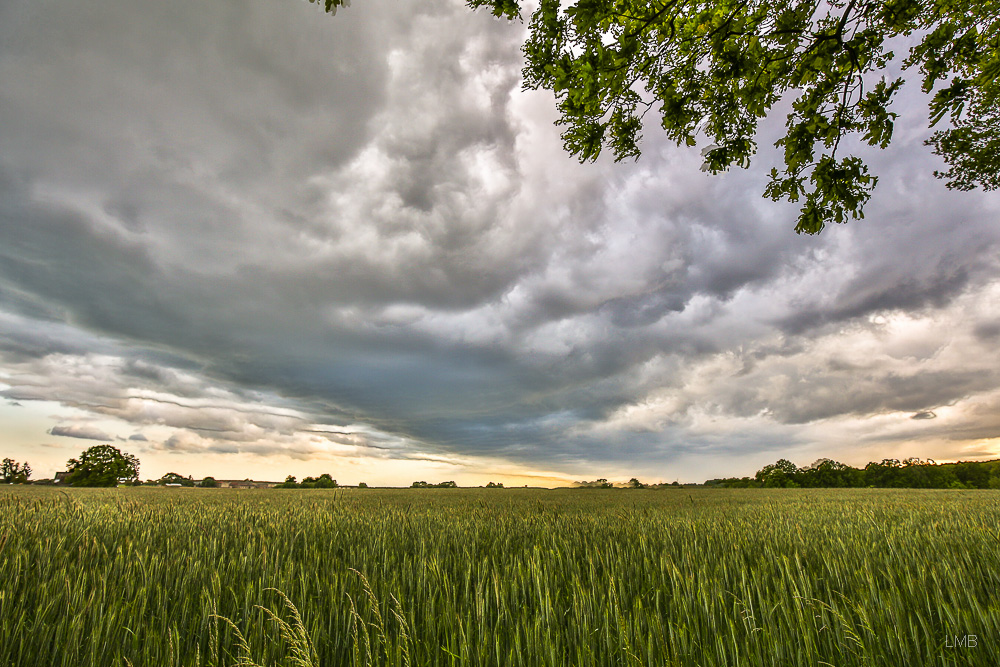 Regen bringt Segen