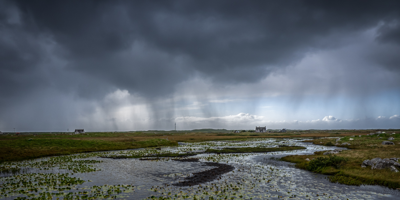 Regen bringt Segen 