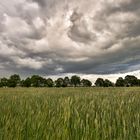 Regen bringt Segen