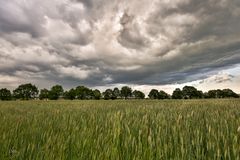 Regen bringt Segen