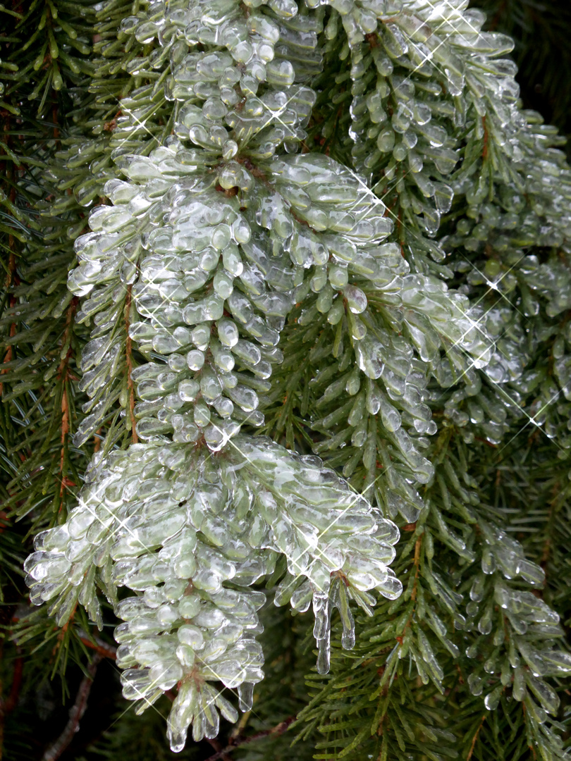 Regen - Eis - Licht