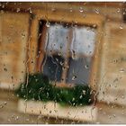 Regen-Fenster-Blick