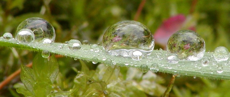 Regen für den zweiten Blick