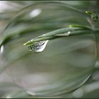 Regen hat auch eine schöne Seite