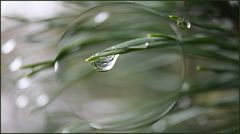 Regen hat auch eine schöne Seite