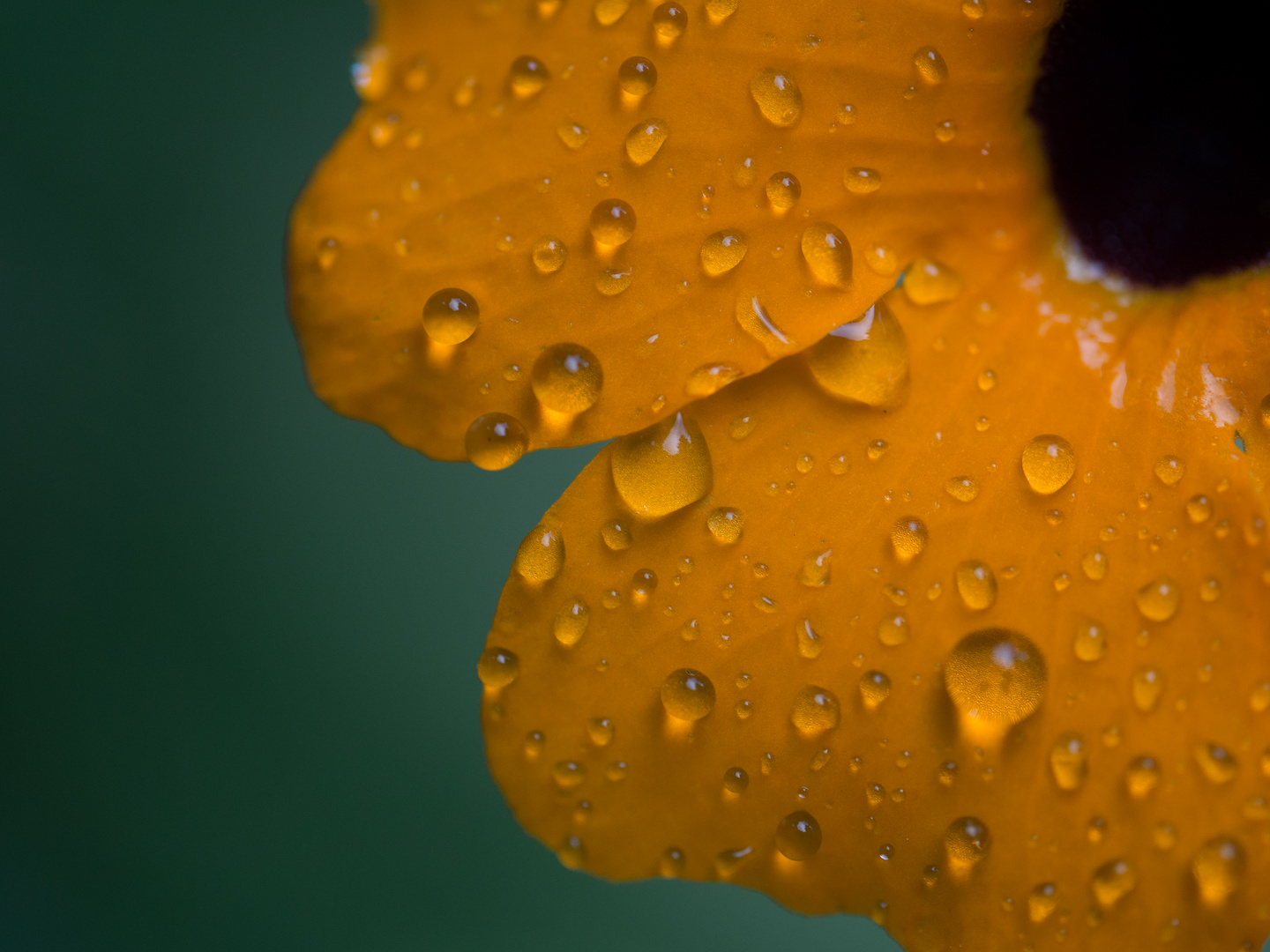 Regen hat auch (manchmal) seine schönen Seiten