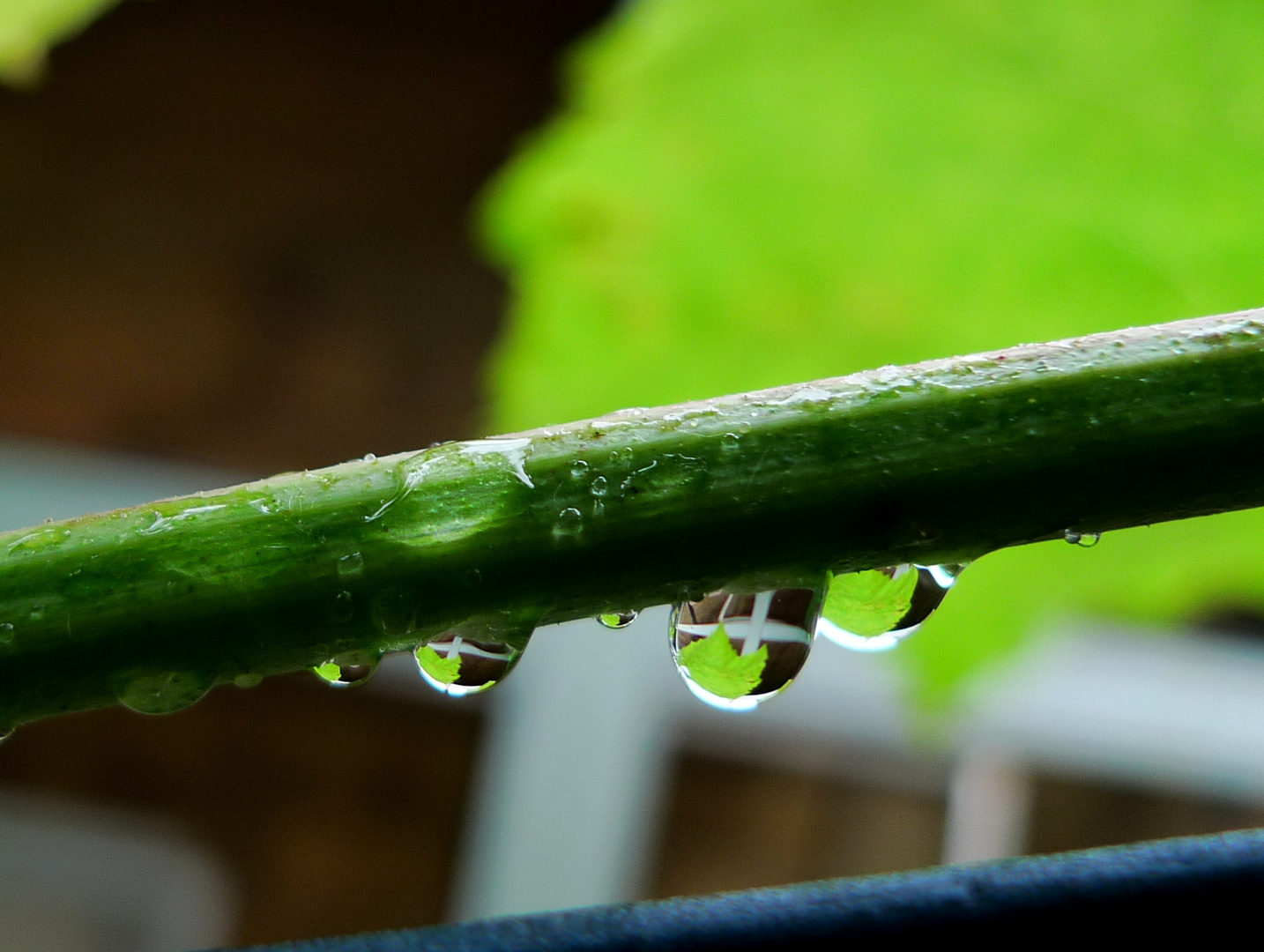 Regen hat auch schöne Momente