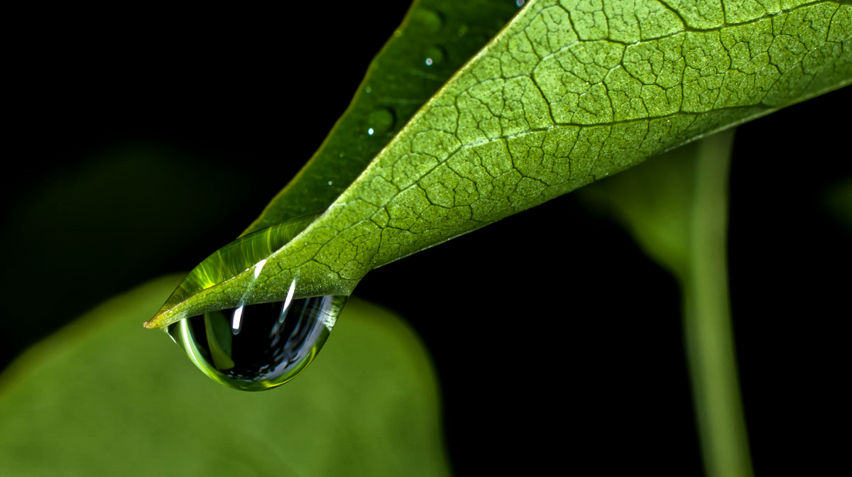 Regen hat auch schöne Seiten