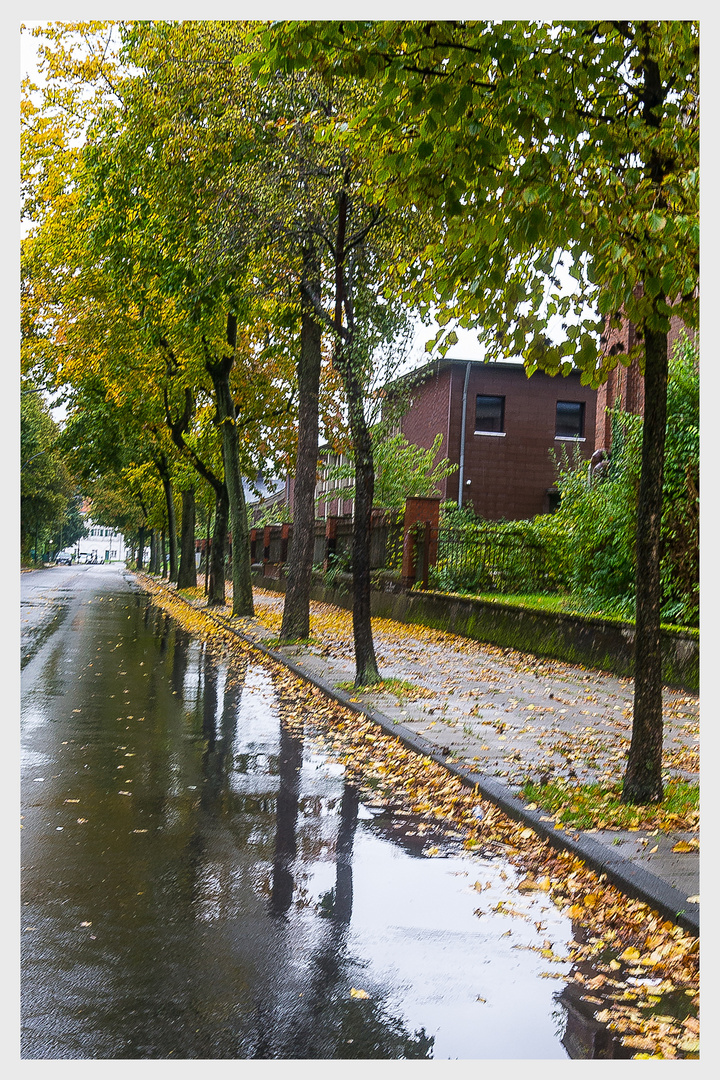 Regen hat auch schöne Seiten