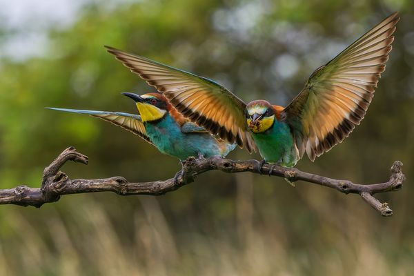 Regen heißt Archiv aufarbeiten