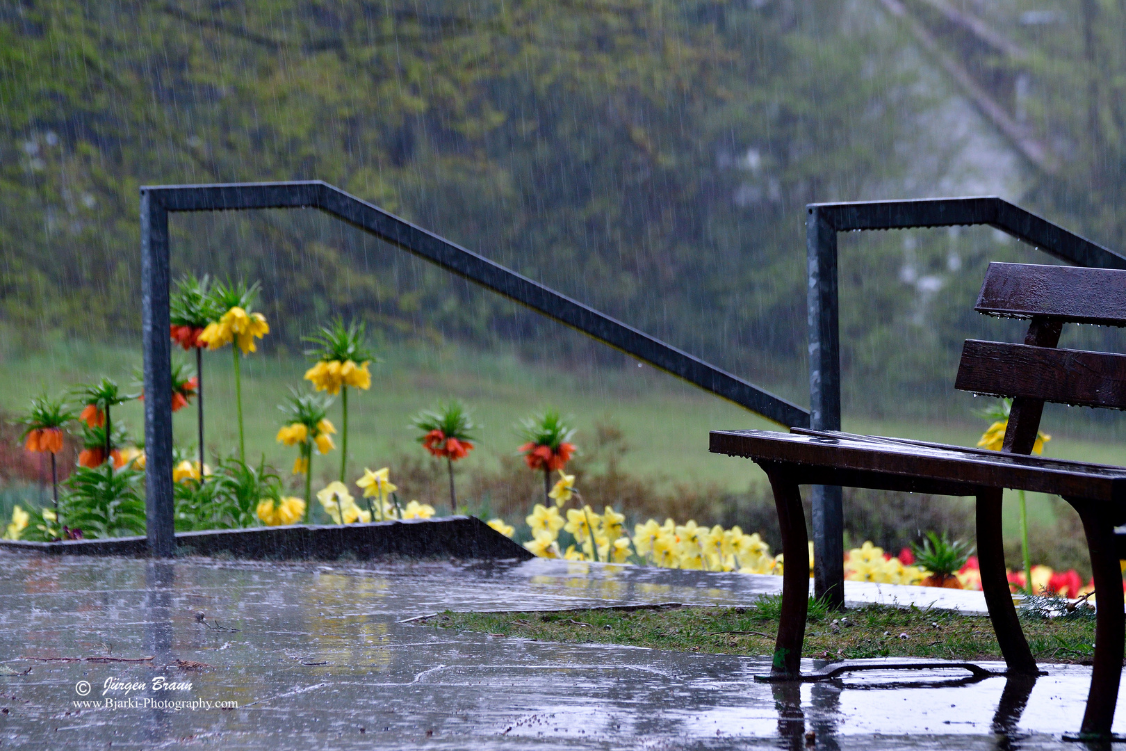 Regen im Botanischen Garten