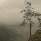 Regen im Elbsandsteingebirge