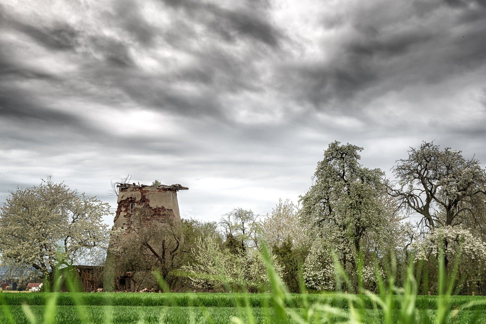 Regen im Frühling