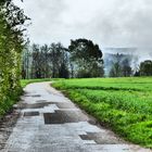 Regen im Frühling